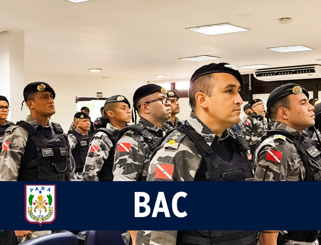 PM do Pará sedia curso inédito para condutores de cães farejadores de explosivos