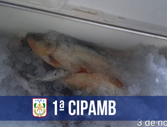 1ª Cipamb apreende 3,5 toneladas de pescado em Santarém