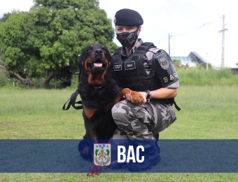 BAC se prepara para a construção da  primeira maternidade canina 