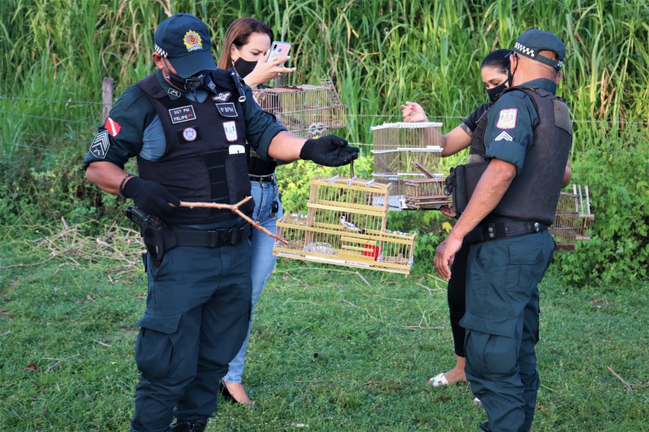 marajó