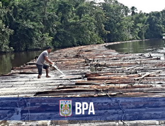 BPA apreende quase 300 metros cúbicos de madeira ilegal em Breves