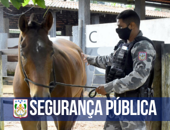 Animais recebem cuidados e auxiliam no combate a criminalidade no Pará