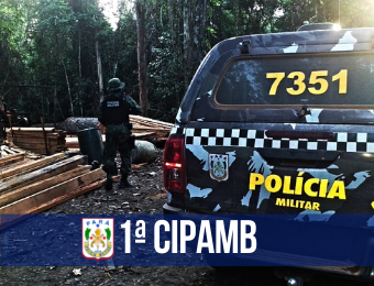 Operação Jericó II inutiliza mais de 50 metros cúbicos de madeira ilegal em Santarém