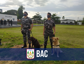 Governo entrega maternidade canina, equipamentos e viaturas para o Batalhão de Ação com Cães da PM