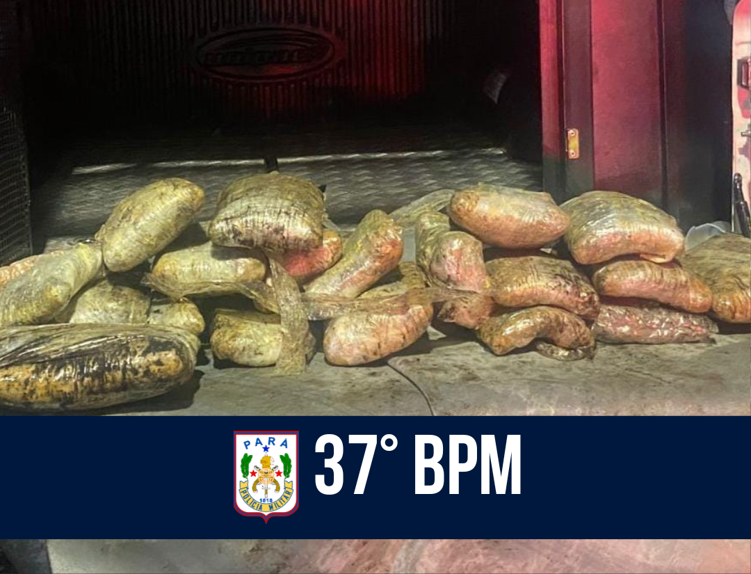 37° BPM prende trio com mais de 12 kg de drogas no Guamá 