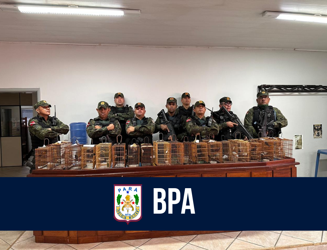 Em Ananindeua, ação do BPA resulta na apreensão de aves silvestres e autuação de 16 pessoas