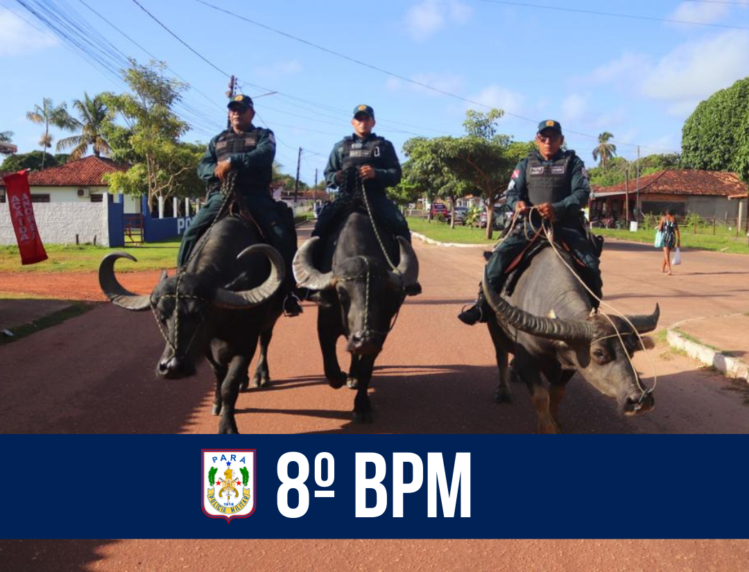 Policiamento diversificado e com apoio de búfalos, é destaque no Marajó Oriental