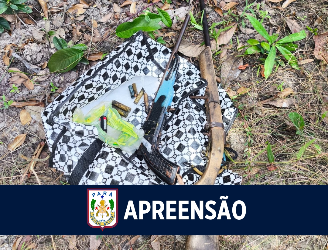 Equipe embarcada da PM apreende armas de fogo no Marajó