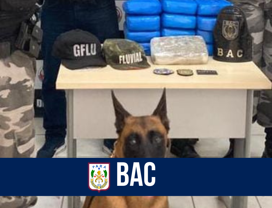 Bac apreende cerca de 13kg de drogas em Breves