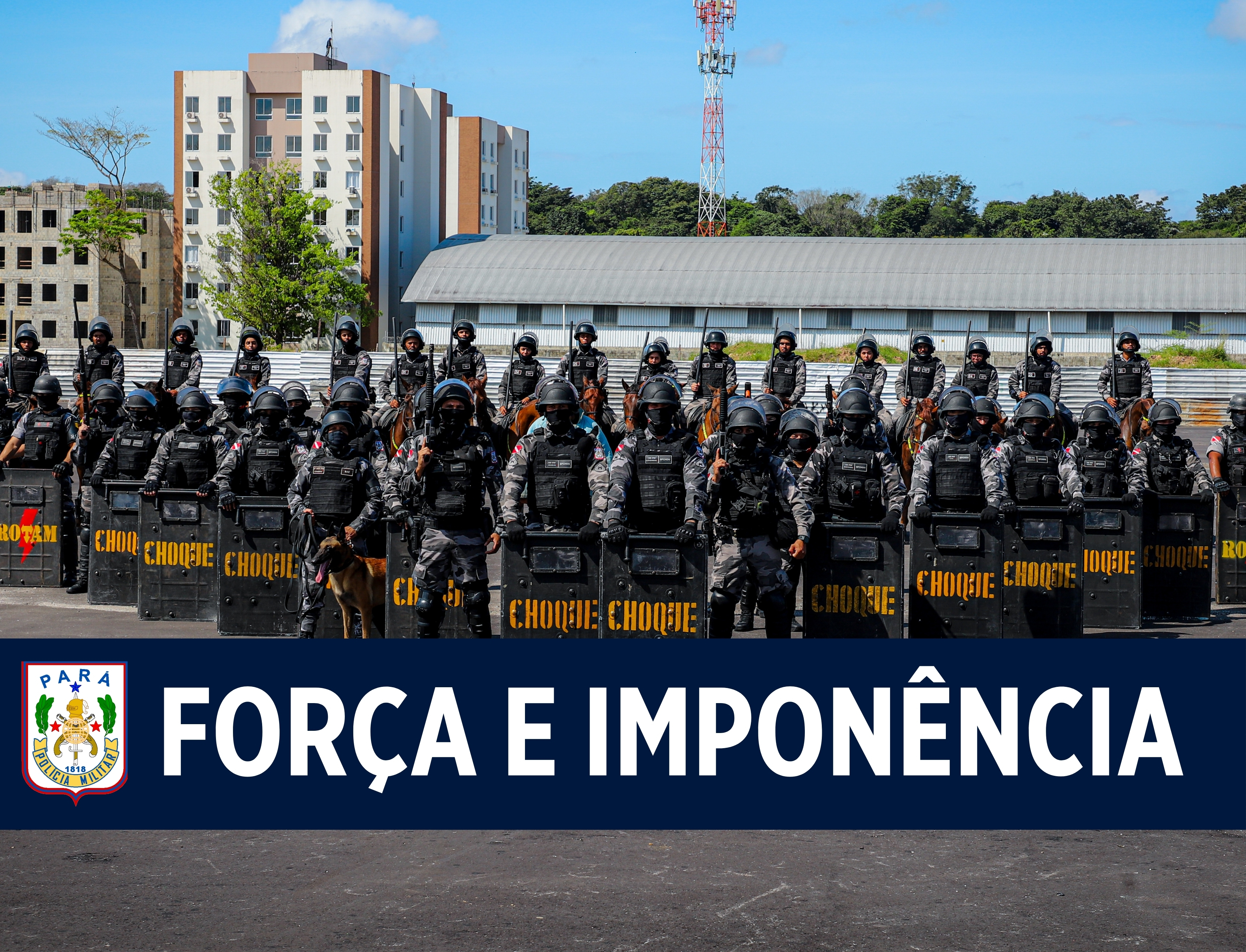 Força e imponência: cavalaria é estratégica para a eficiência das operações da Polícia Militar do Pará