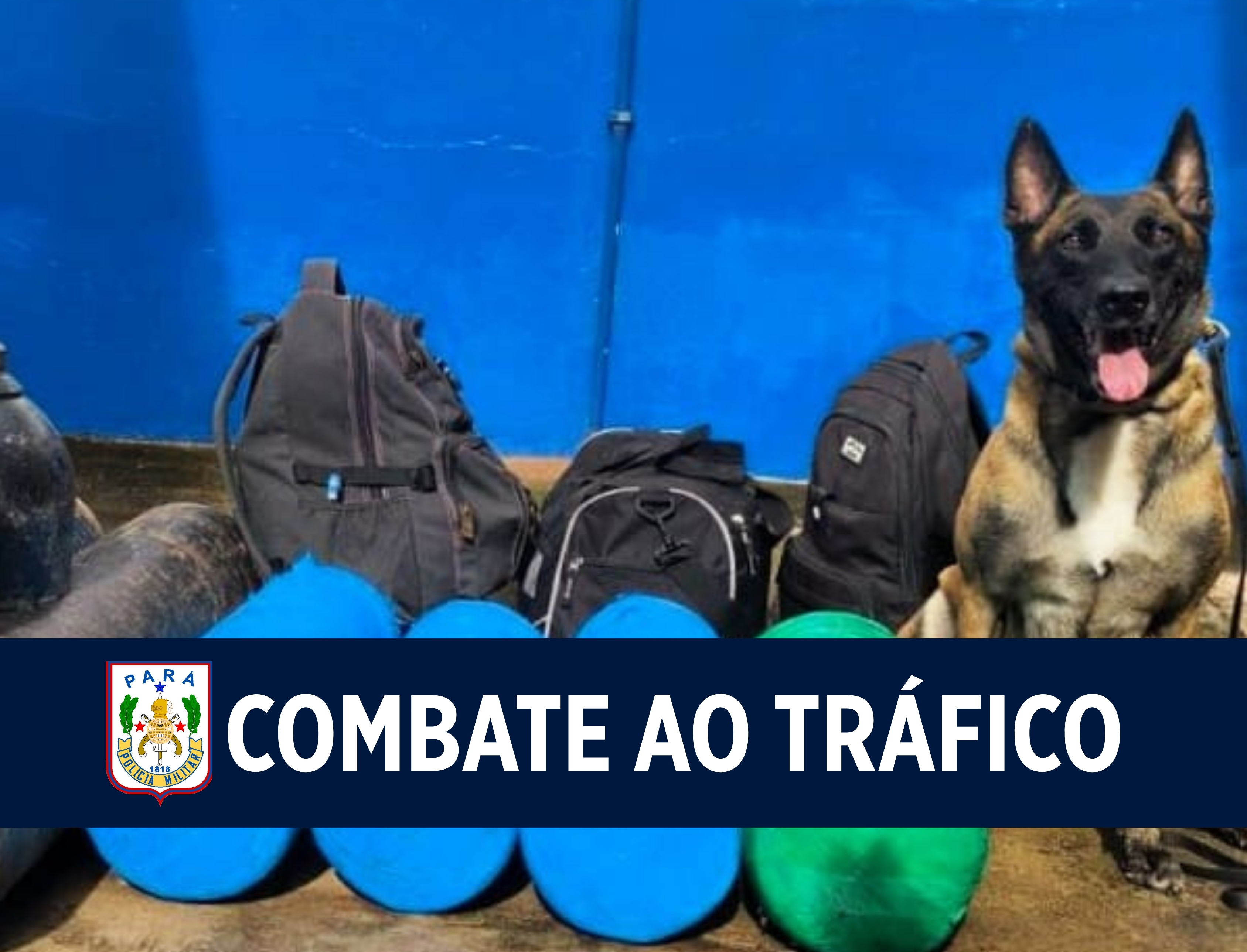 Forças de segurança pública apreendem quase 80 kg de drogas em porto de Juruti