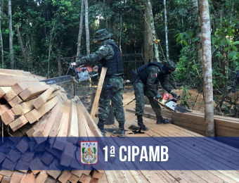 Operação da 1ª CIPamb fecha serrarias clandestinas em Santarém