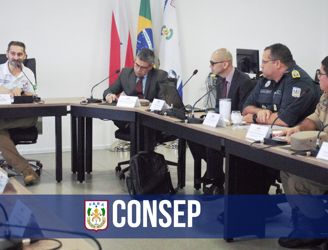 Comandante-Geral da PM participa de reunião do CONSEP
