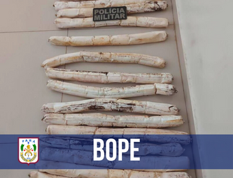 Bope recolhe e destrói explosivos apreendidos em Parauapebas