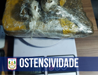 23º BPM apreende meio quilo de maconha em Parauapebas