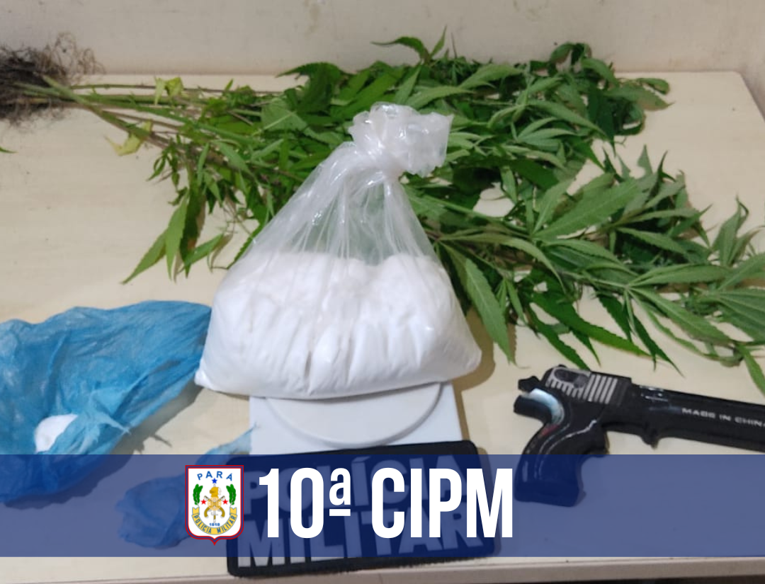 Homem é preso com drogas e quatro plantas semelhantes à maconha