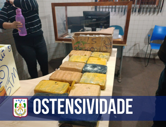 PM intercepta rede de tráfico e apreende 16kg de drogas vindas do Amazonas