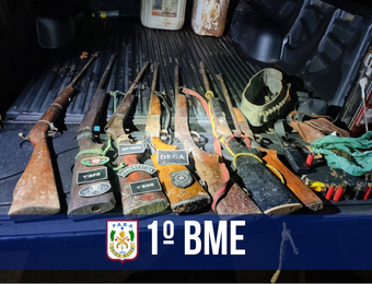 PM apreende sete armas de fogo no Sudeste paraense