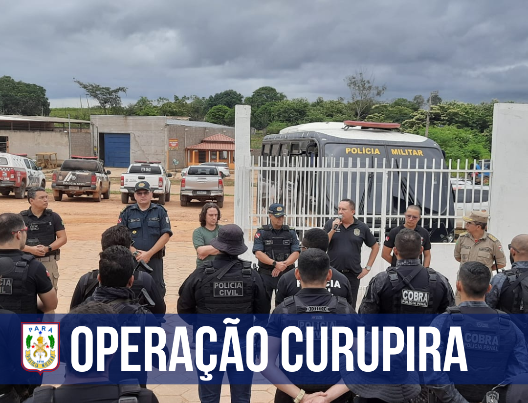 PM participa de operação integrada contra crimes ambientais