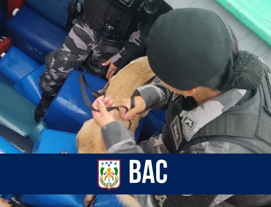 BAC realiza operação em apoio à SEFA no Porto de Val-de-Cães