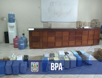 BPA apreende 57 aves em Belém