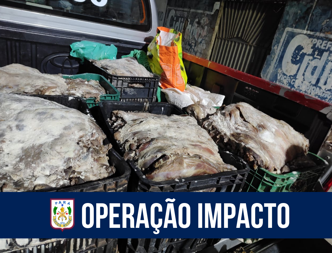Operação Impacto: PM apreende 650kg carne de caça ilegal no Marajó Oriental