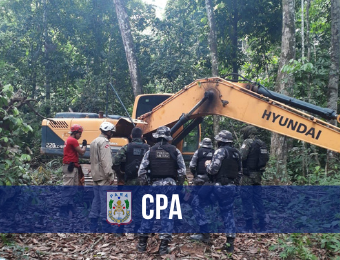 Operação “Amazônia Viva” apreende armas de fogo, tratores e madeira ilegal 