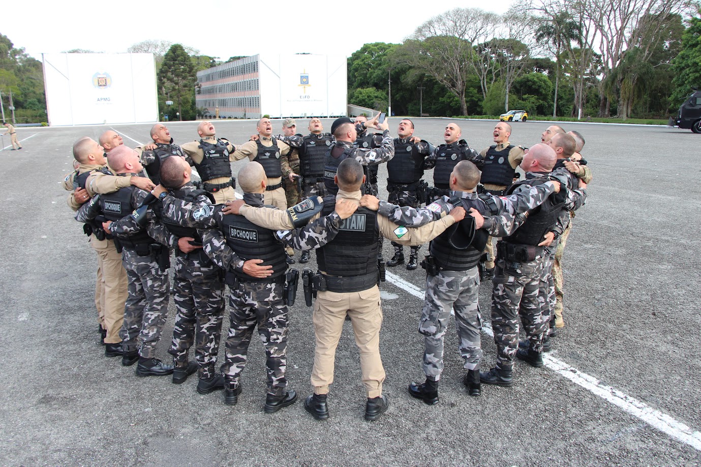 WhatsApp Image 2025 11 11 at 15.16.00