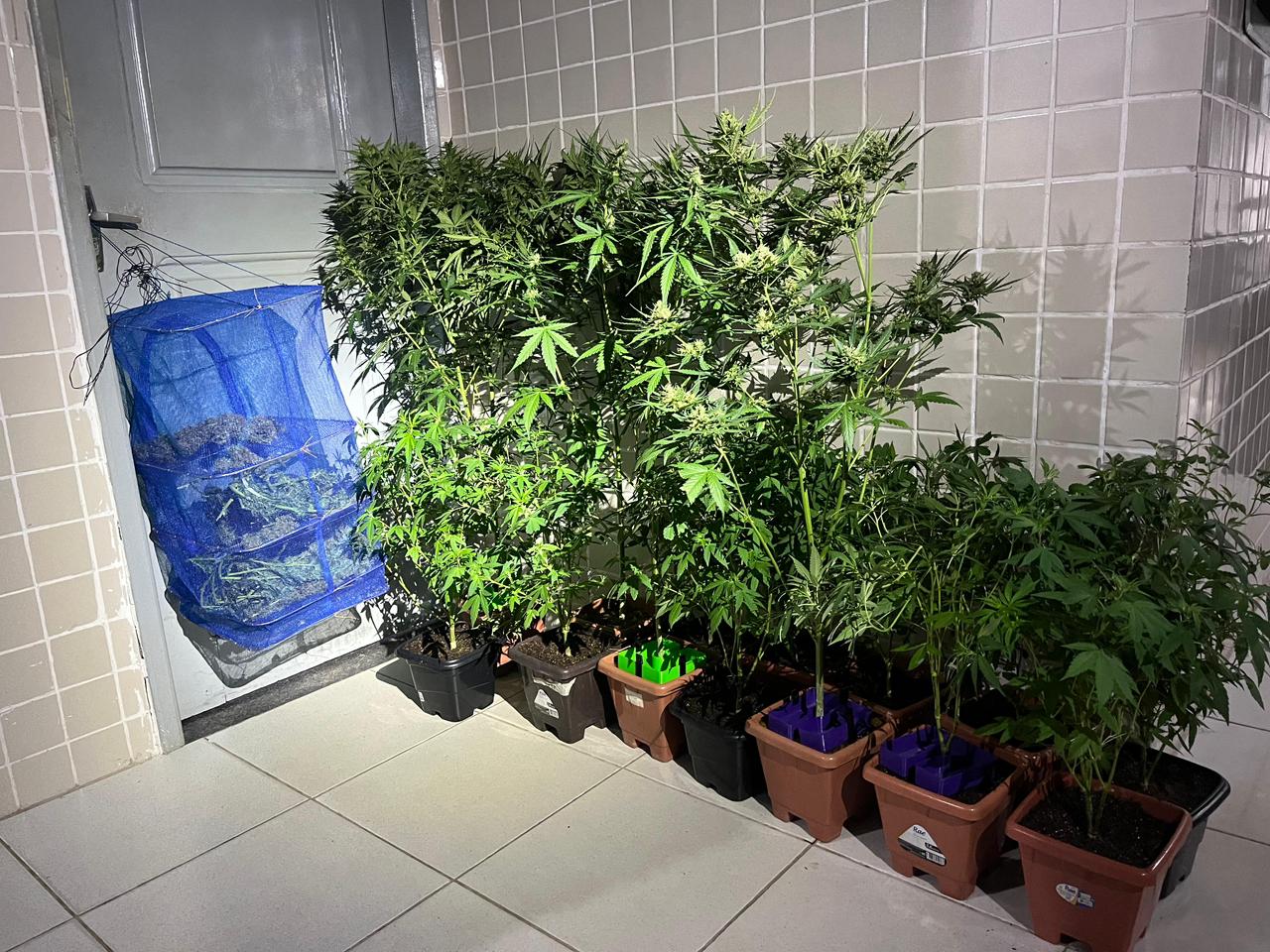 WhatsApp Image 2025 11 24 at 14.44.14