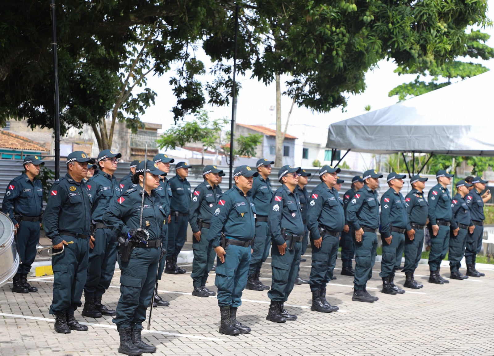 WhatsApp Image 2026 02 05 at 17.37.53 2