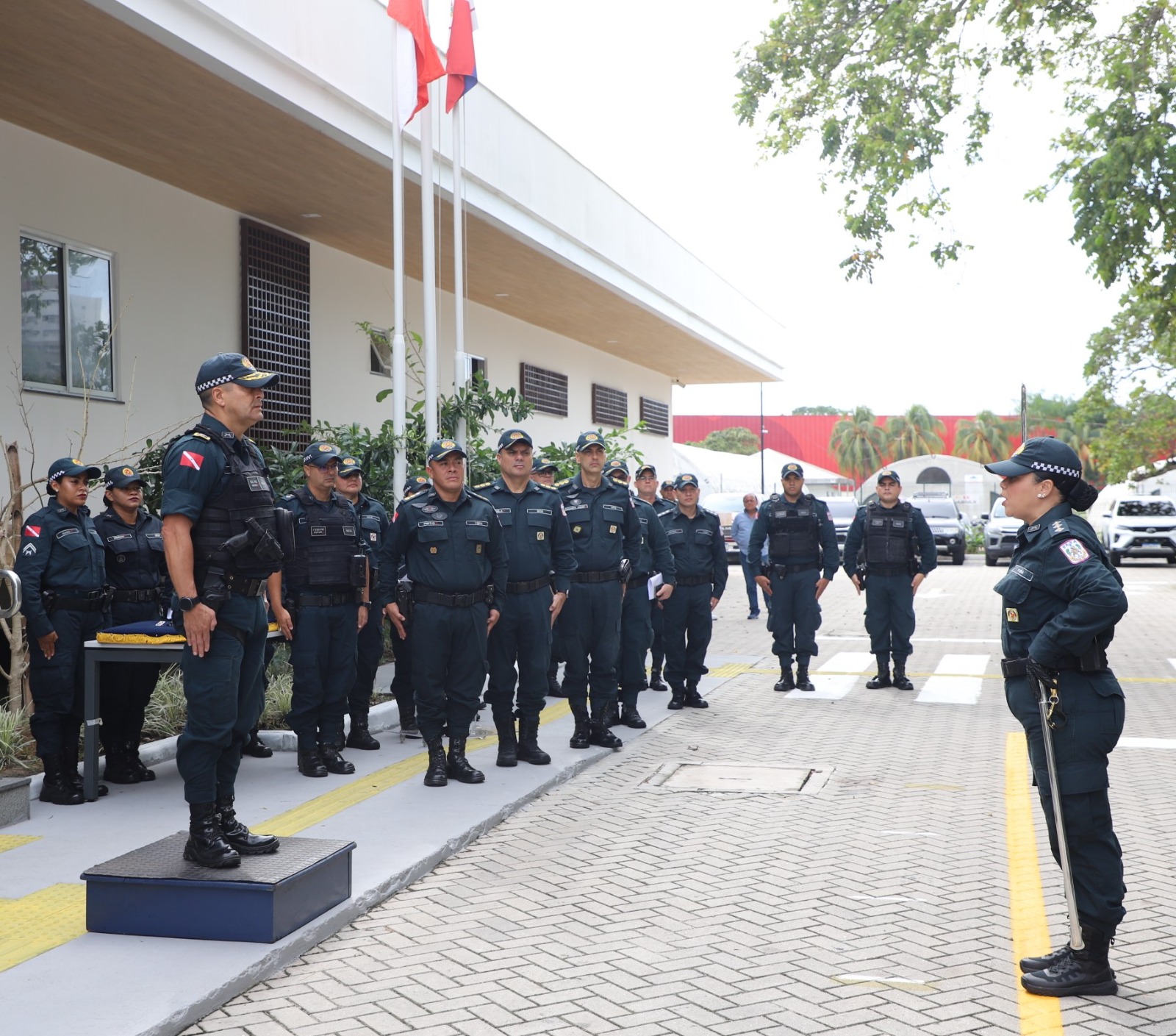 WhatsApp Image 2026 02 05 at 17.37.53 3