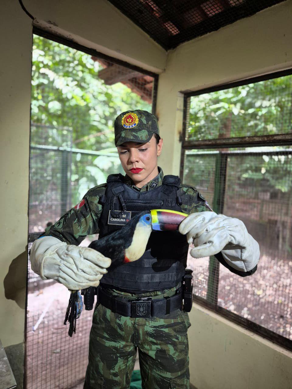 WhatsApp Image 2026 03 25 at 16.24.24