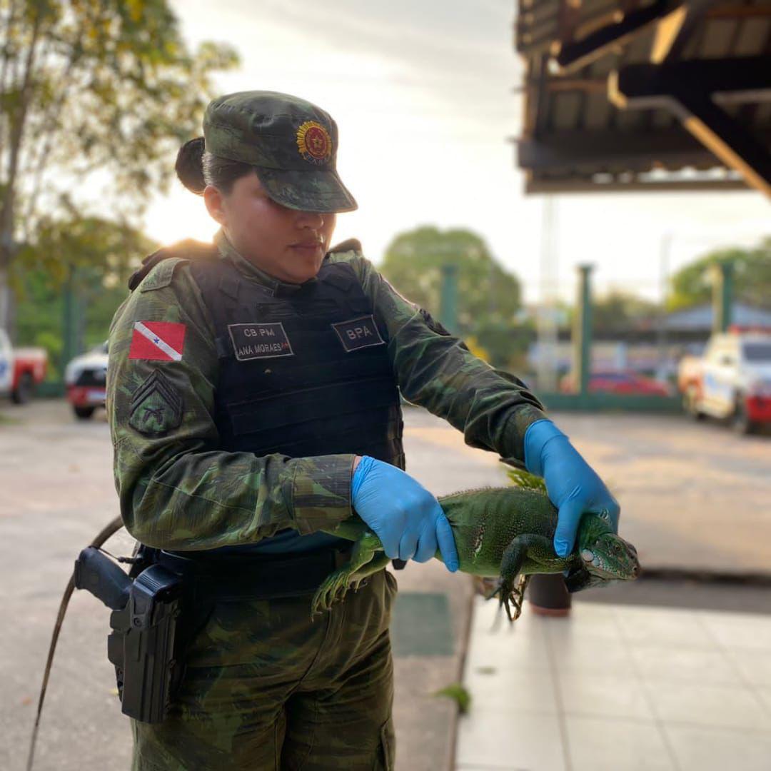 WhatsApp Image 2026 03 25 at 16.24.24 1