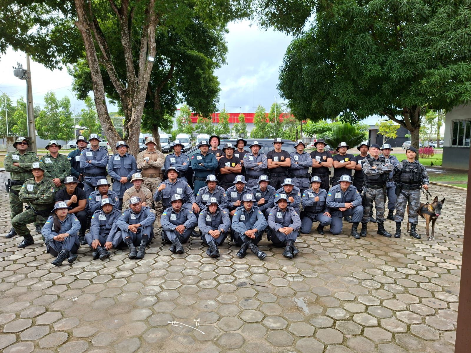 WhatsApp Image 2026 03 29 at 15.19.17 1