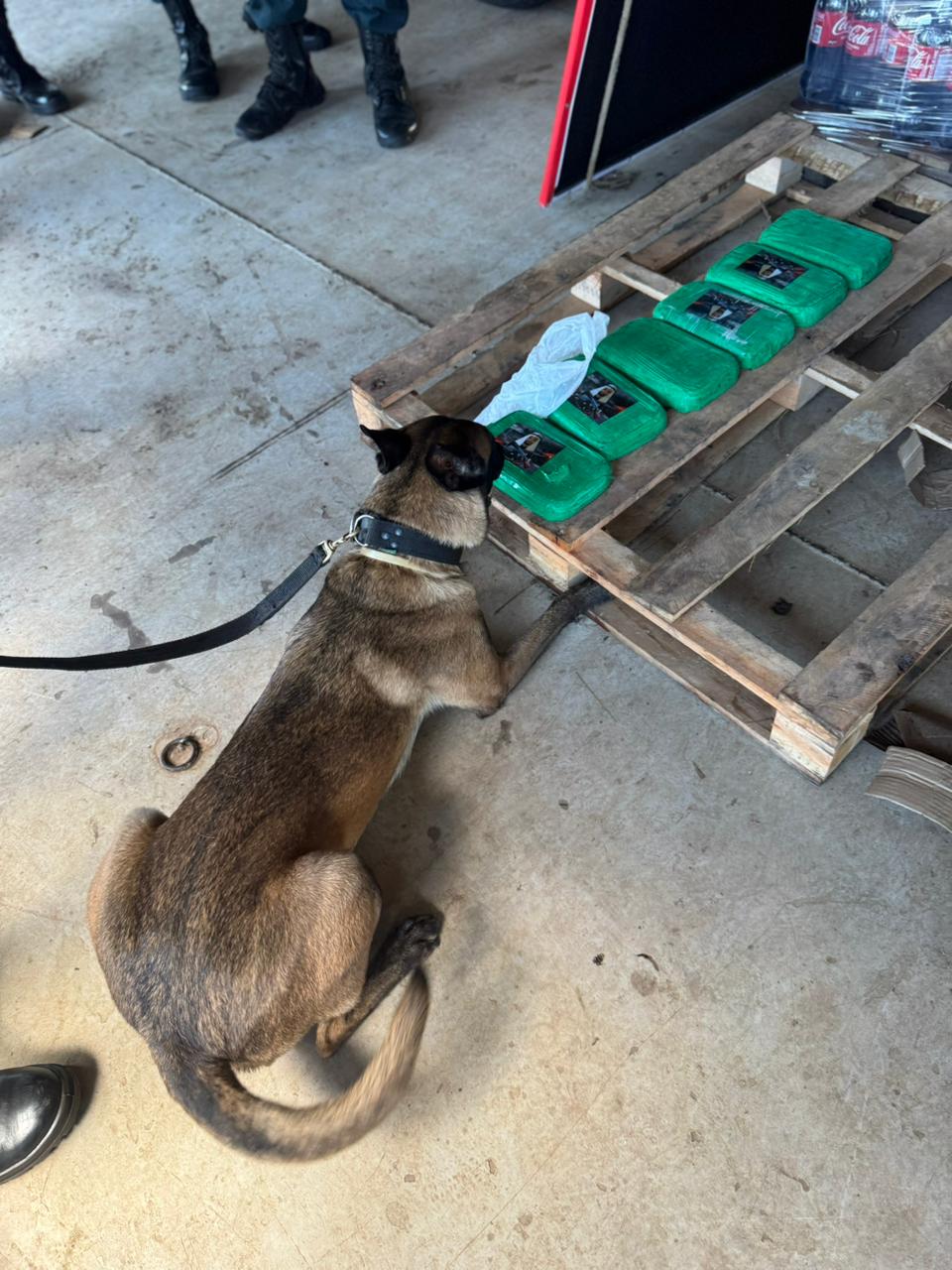 WhatsApp Image 2026 04 06 at 15.32.50