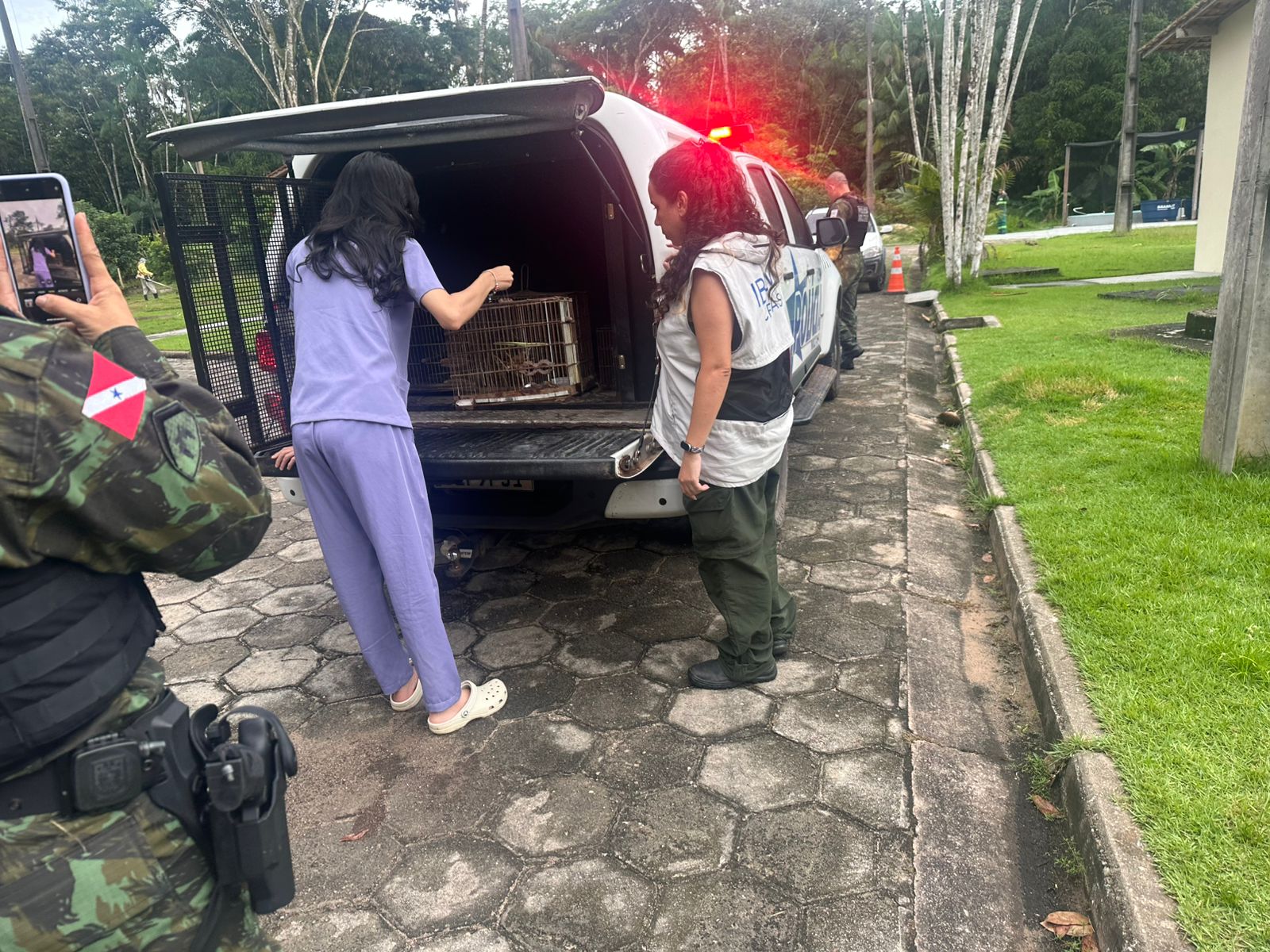 WhatsApp Image 2026 04 08 at 09.53.01