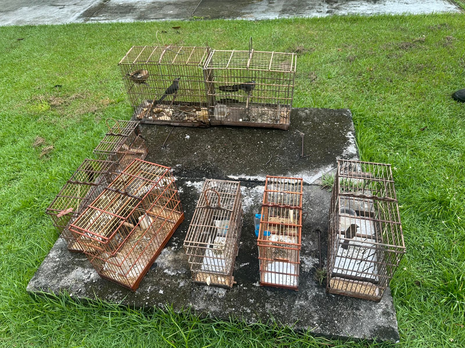 WhatsApp Image 2026 04 08 at 09.53.02