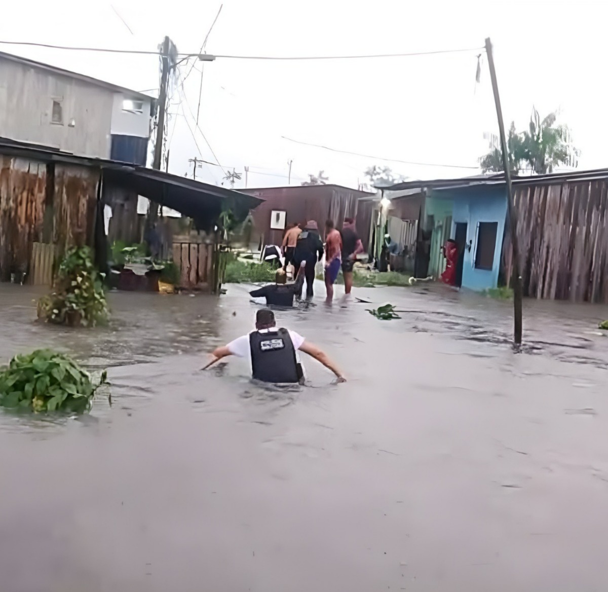 WhatsApp Image 2026 04 20 at 20.42.00