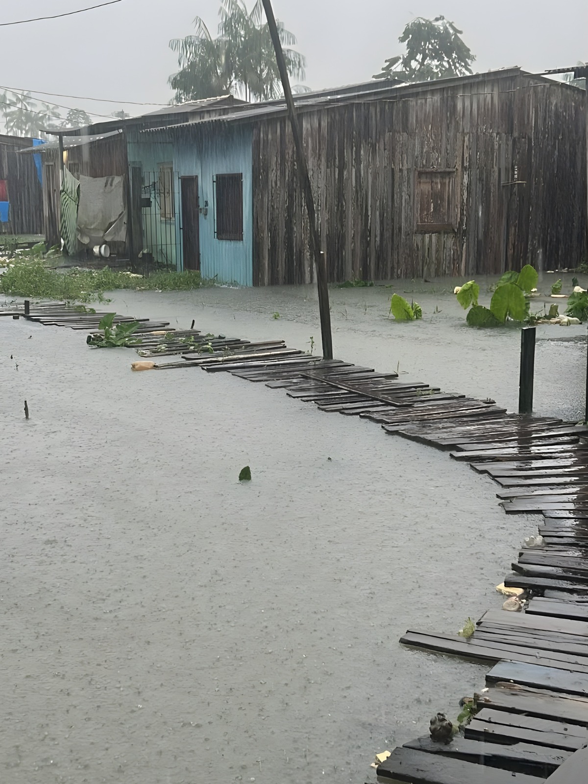 WhatsApp Image 2026 04 20 at 20.48.52