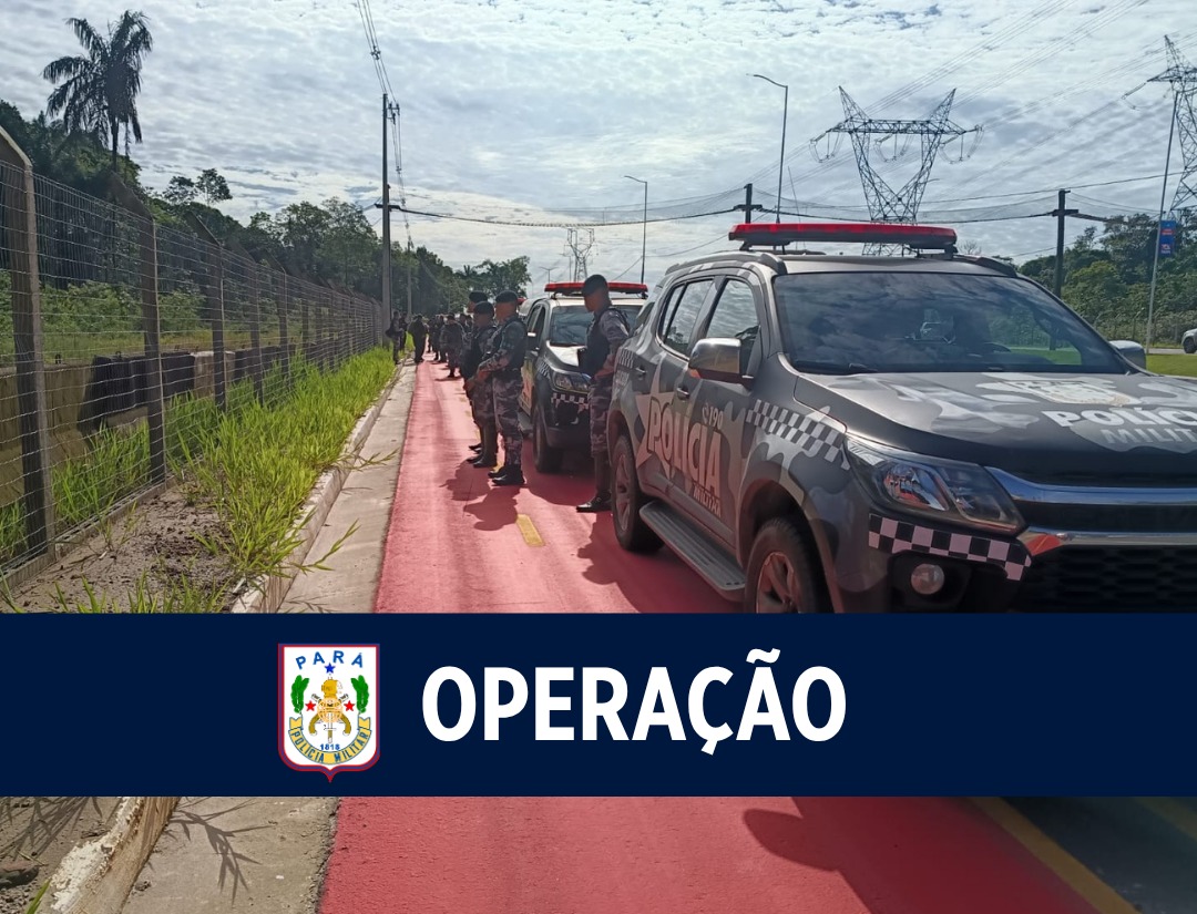 Operação conjunta combate crimes ambientais na Avenida Liberdade