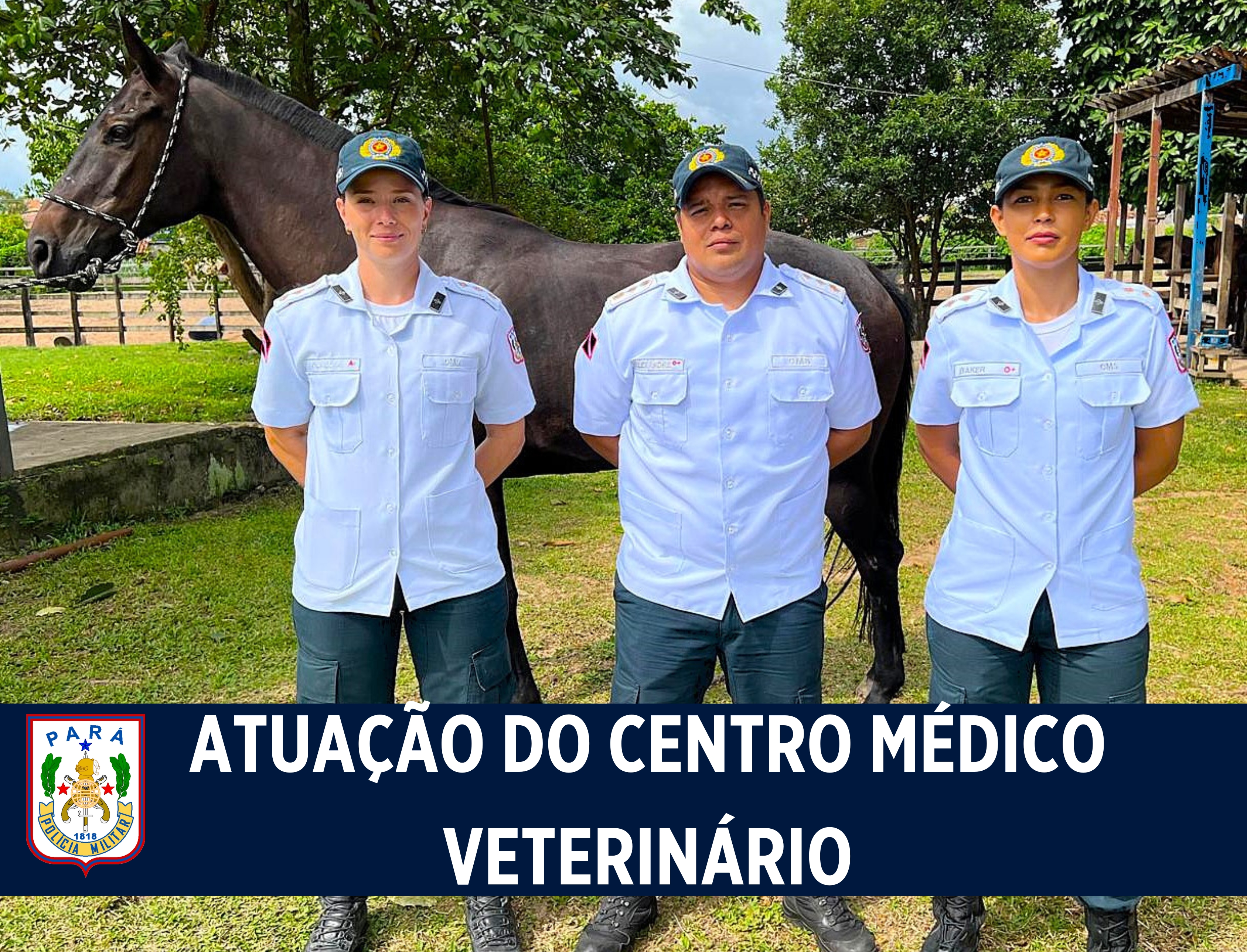 Polícia Militar do Pará destaca atuação do Centro Médico Veterinário no cuidado com animais do efetivo no dia do Veterinário.
