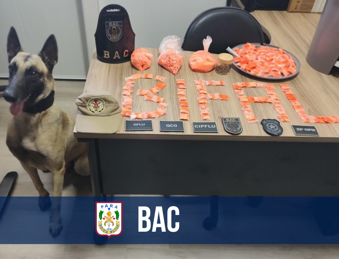 BAC prende casal com mais de 1600 comprimidos de ecstasy