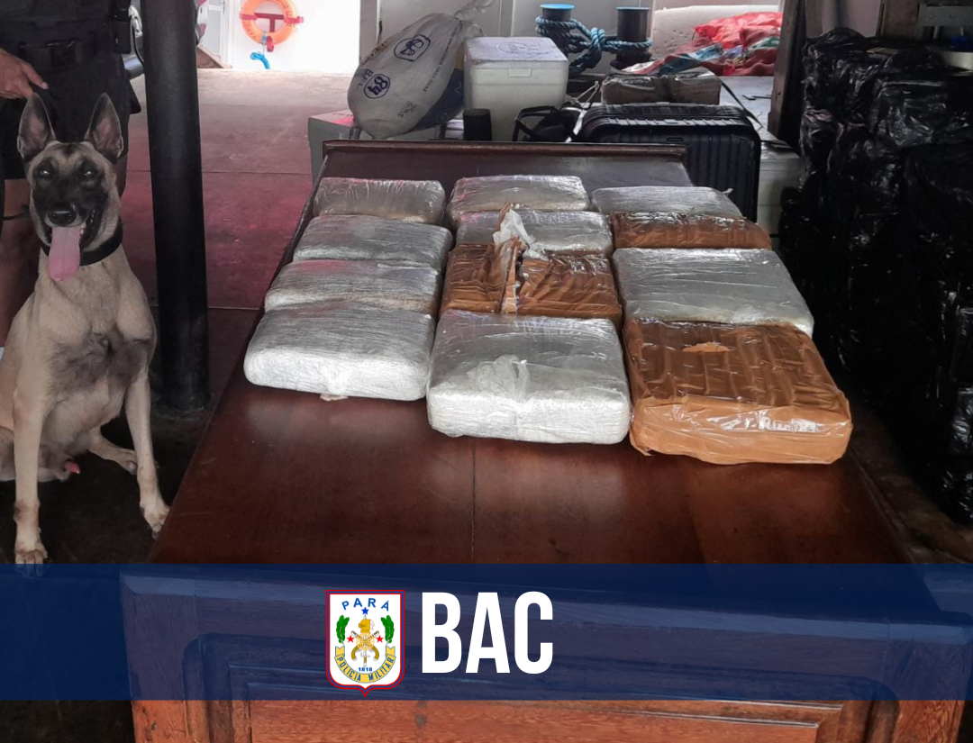 BAC apreende 15kg de drogas no Marajó