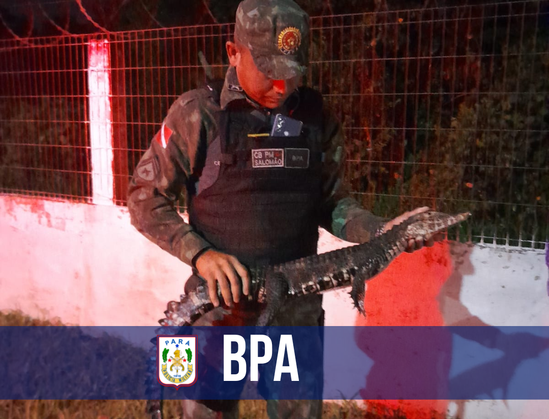BPA reforça ações de resgates de animais silvestres