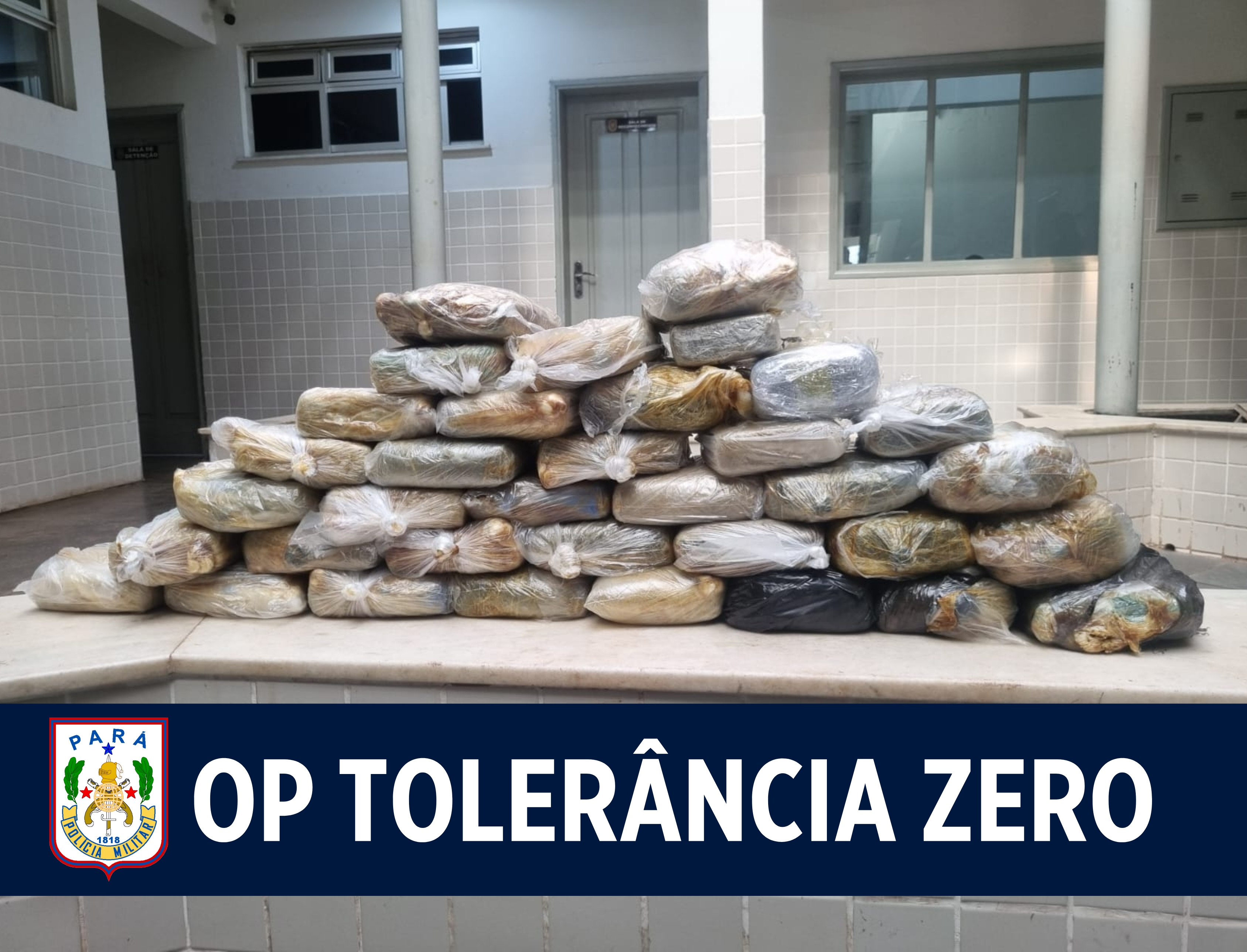 Operação Tolerância Zero resulta na apreensão de cerca de 50 kg de entorpecentes em Santarém