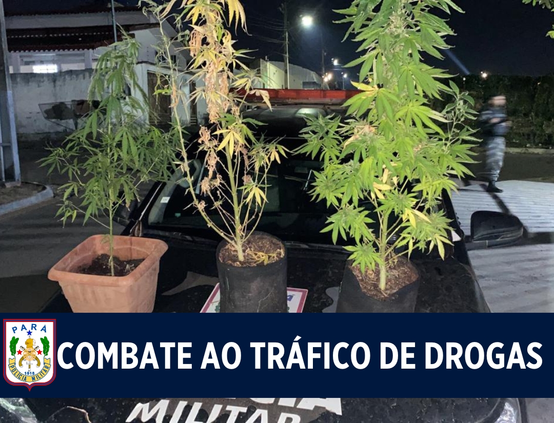 Dupla foi presa por tráfico e cultivo de entorpecentes em Redenção