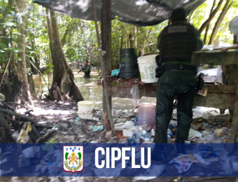 CIPFlu descobre laboratório de drogas em área ribeirinha de Belém