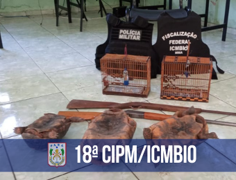 Aves silvestres e jabutis são apreendidos pela 18ª CIPM e ICMBio