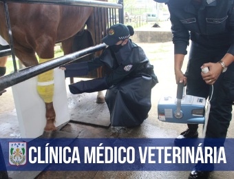 Clínica Médico-Veterinária da PMPA alcança padrão de excelência no atendimento com uso de Raio X portátil 