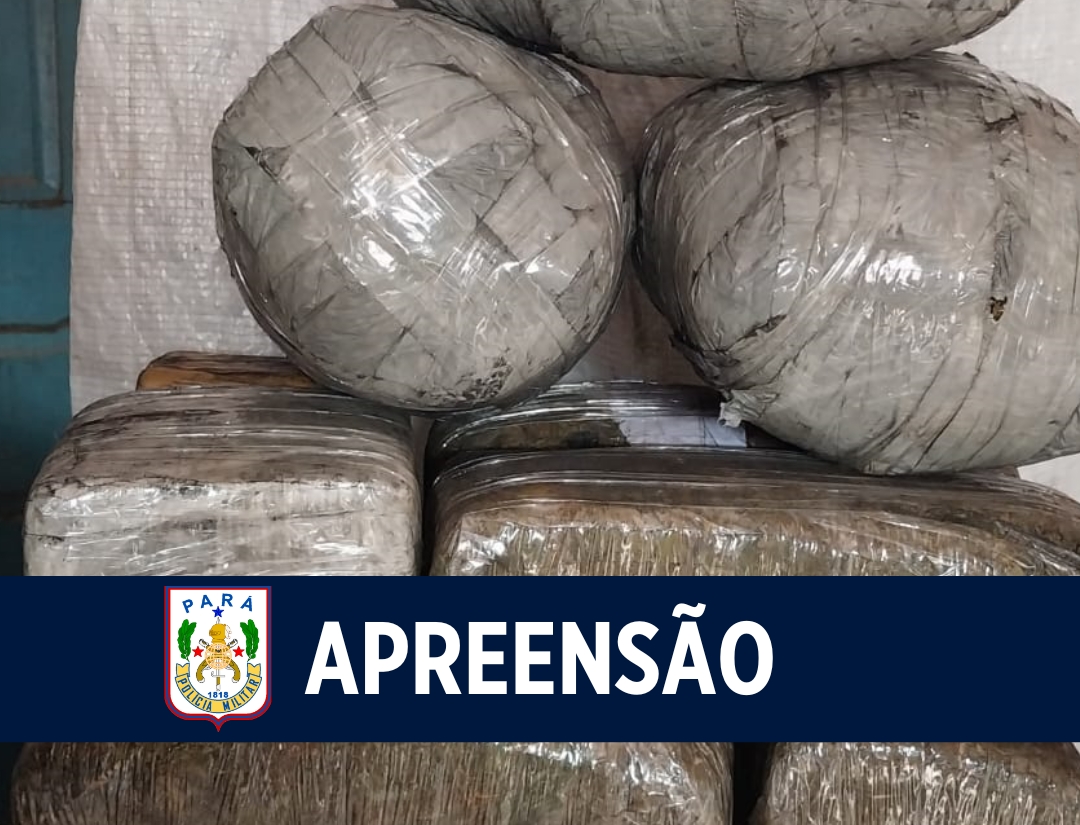Polícia Militar apreende mais de 12 kg de maconha no nordeste paraense